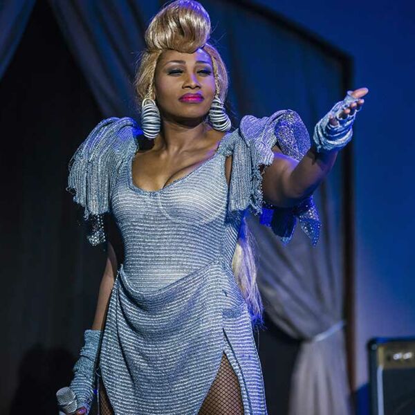 Simply the Best - Coco Fletcher alias Tina Turner